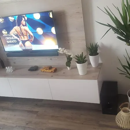 Apartma Slapanice *
